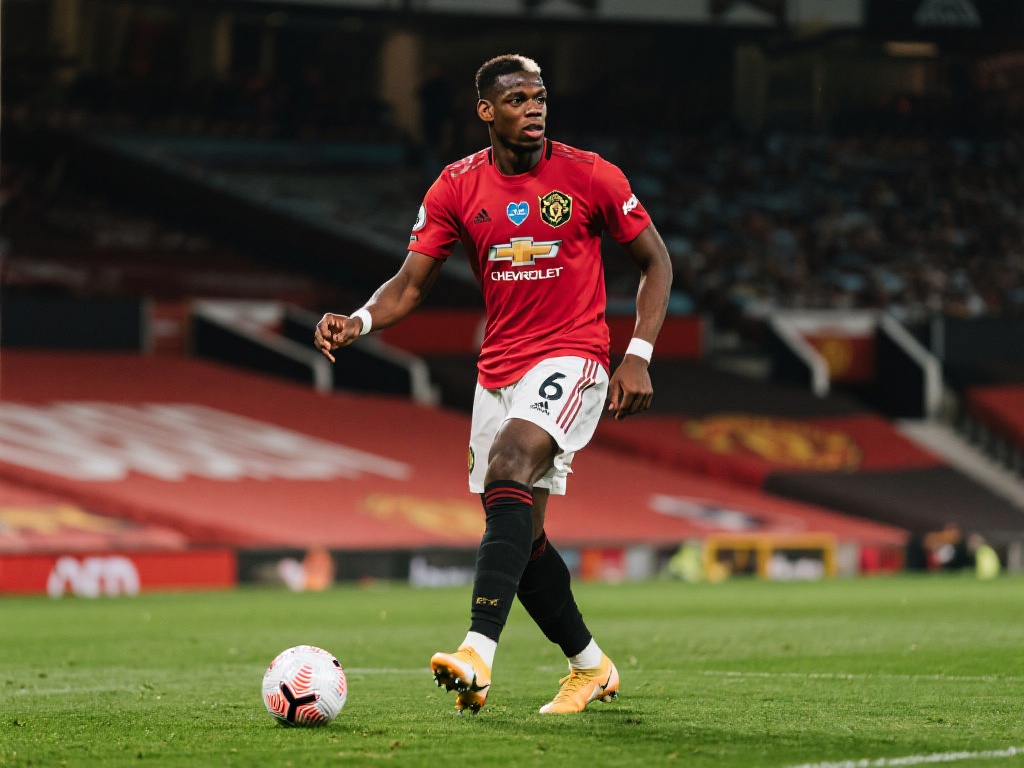 不仅仅是一 不仅仅是一